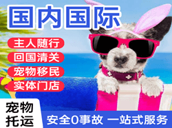 黔江武陵山机场空运国际宠物托运 【国